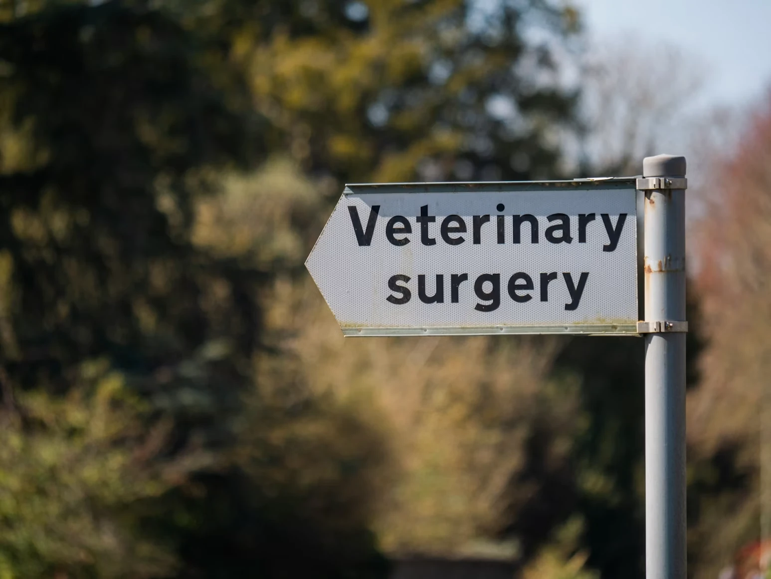 Canadian Veterinary Medical Association - CVMA
